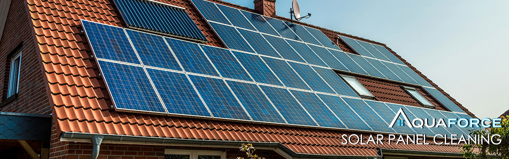 Solar Panel Cleaning